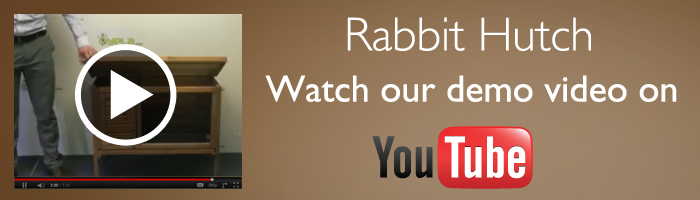 basic rabbit care instructions