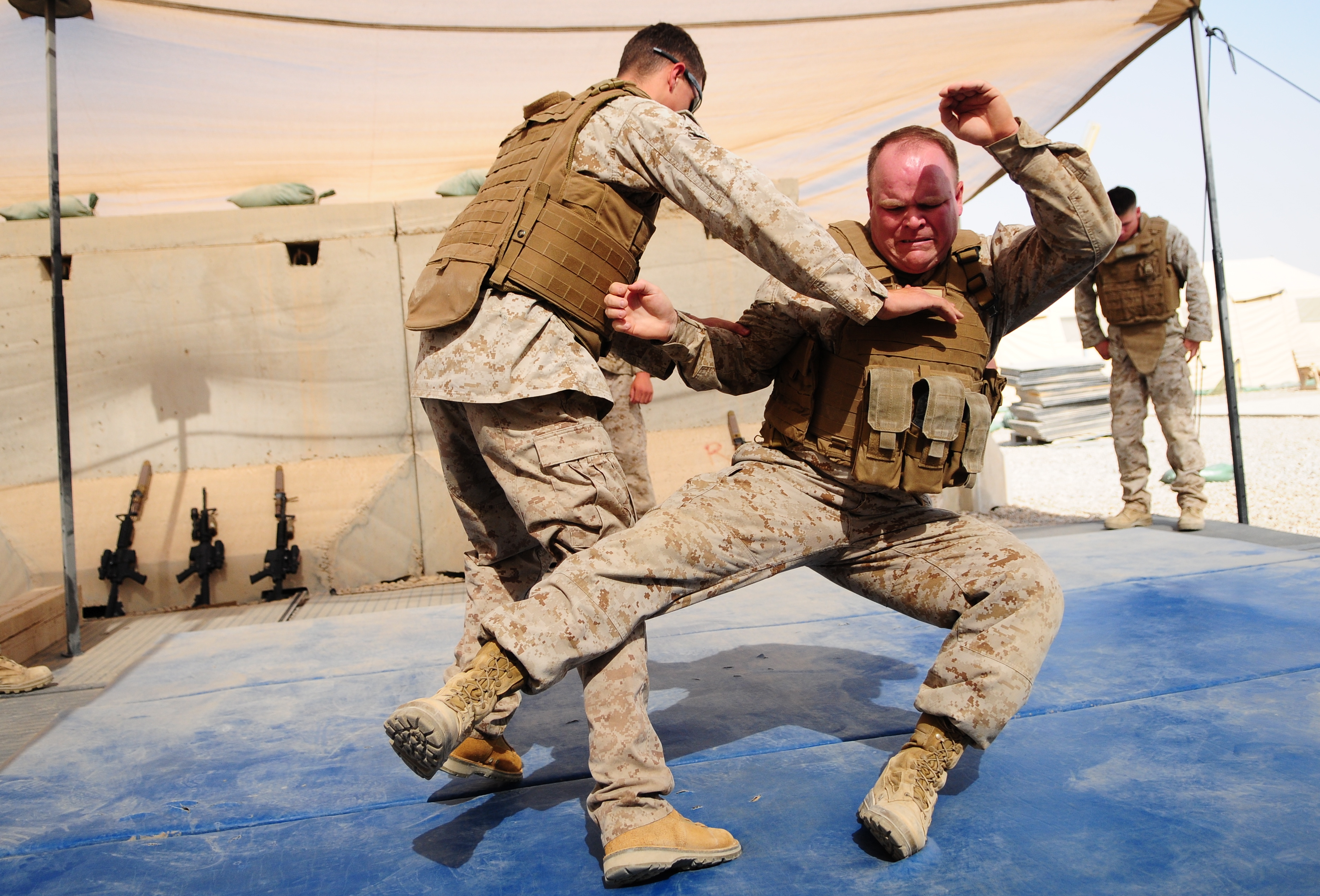 best hand to hand combat instructional videos
