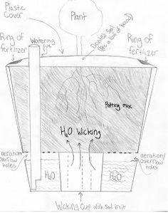 diy self watering styrofoam planters for tomatoes canada instructions