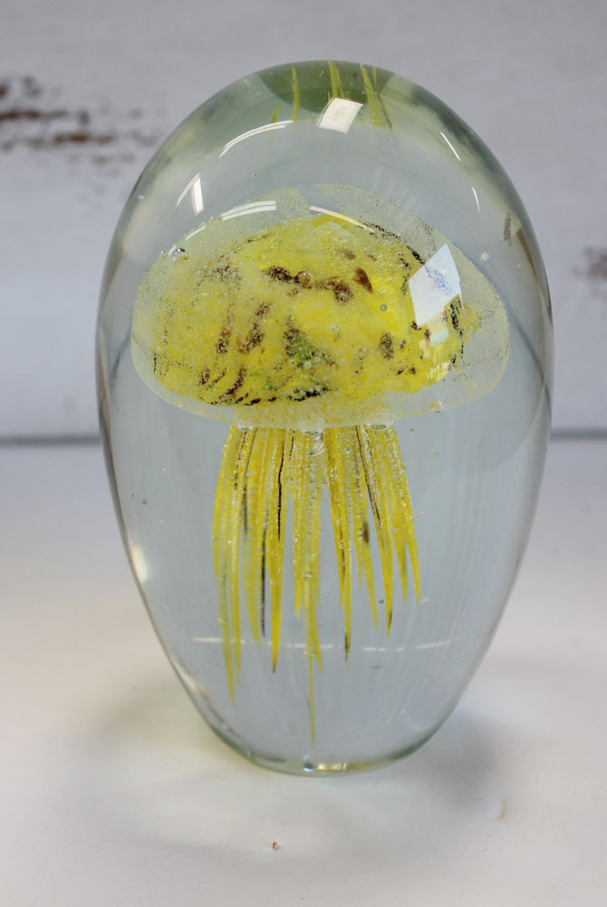 real tiger jellyfish in glass instructions
