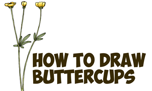step by step instructions on flowers